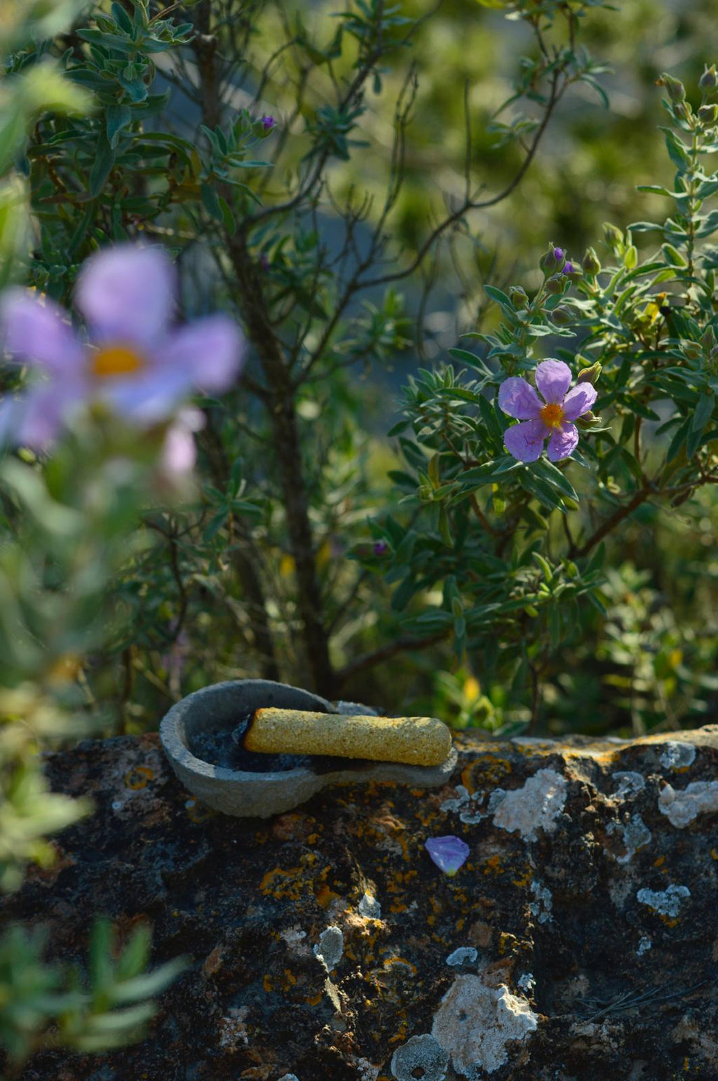 Tibetanos Artesanales con Hierbas de Ibiza (3 unidades)