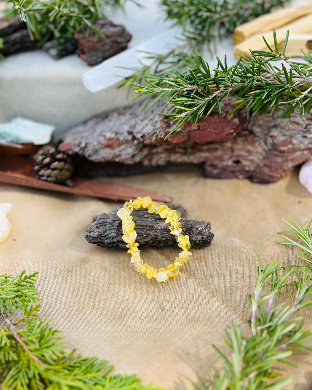 Kit de Abundancia – Prosperidad, expansión y oportunidades