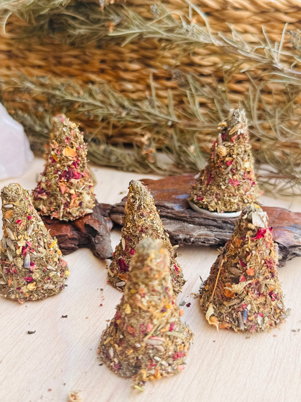 Conitos de Limpieza x 6