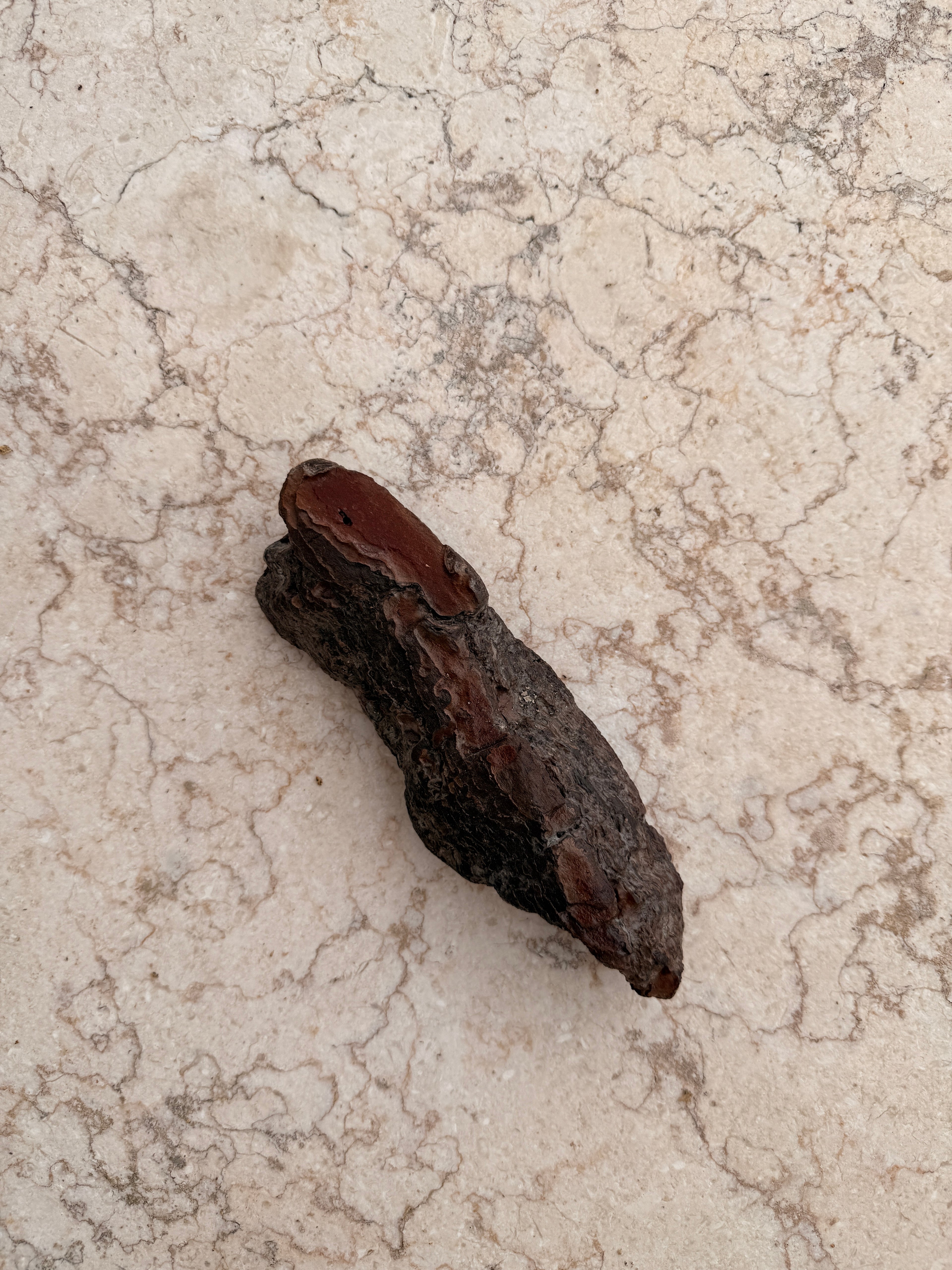 Porta Incienso Rústico de Corteza Natural – Hecho a Mano en Ibiza